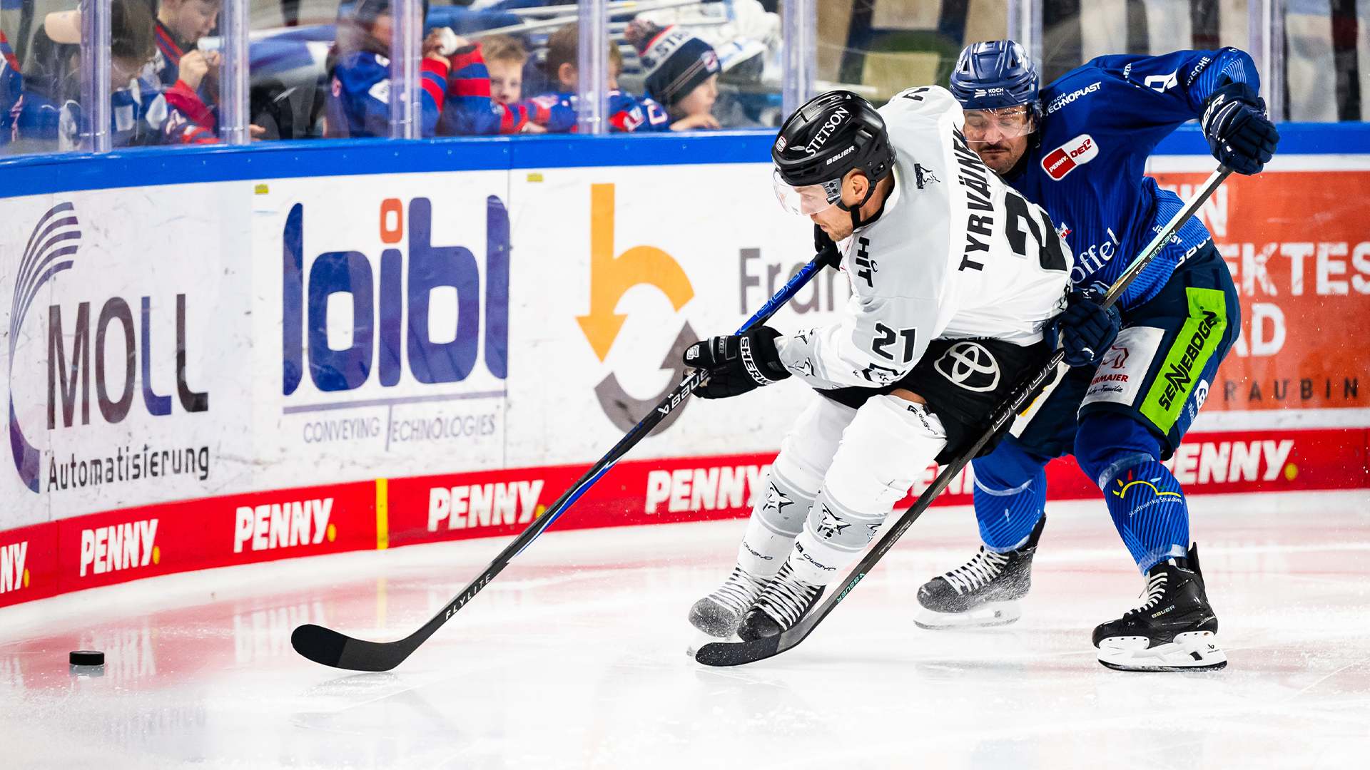 Straubing Tigers gg. Kölner Haie